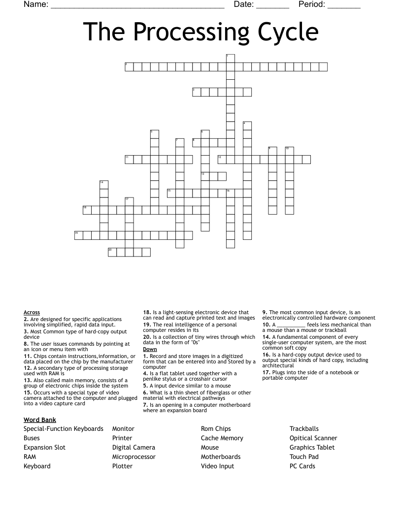 The Processing Cycle Crossword