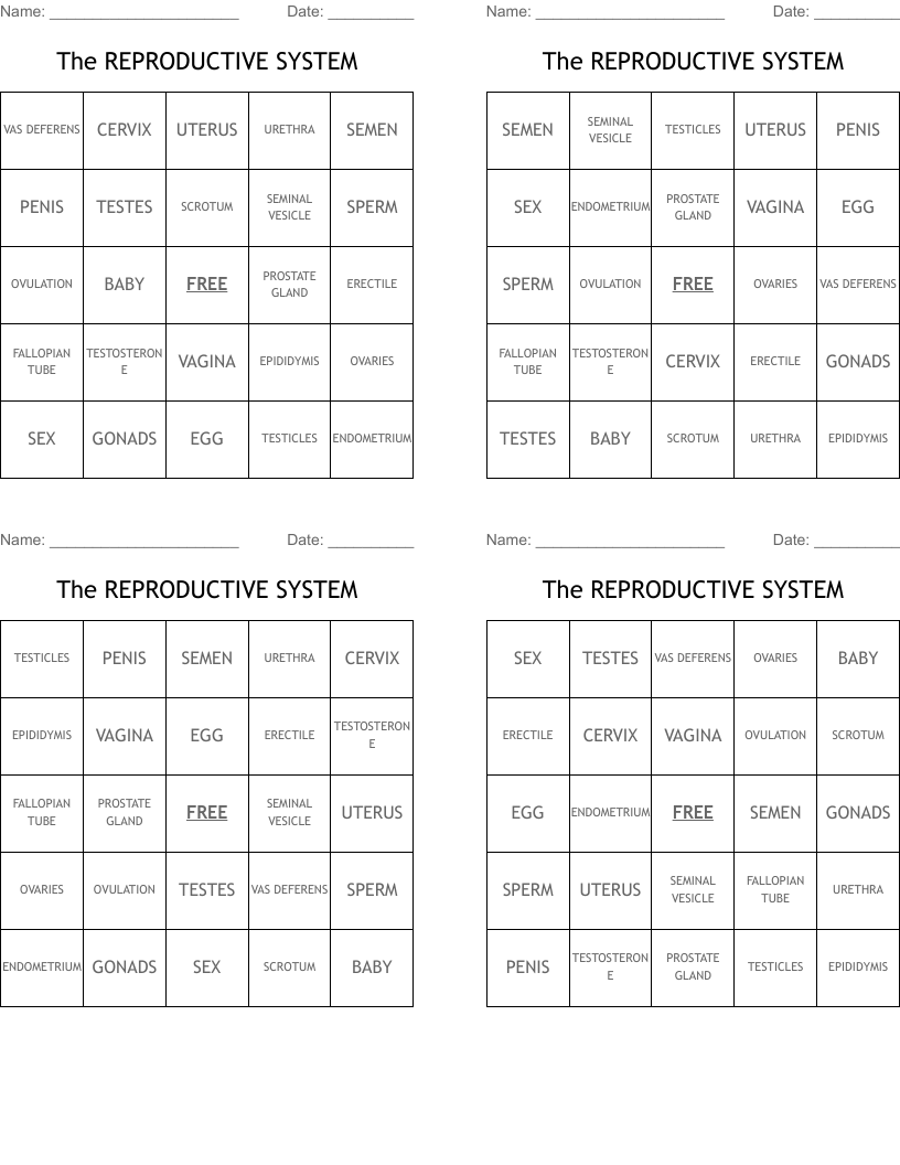The REPRODUCTIVE SYSTEM Bingo Cards
