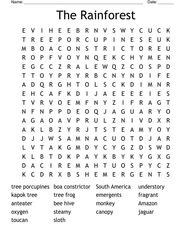 The Rainforest Word Search