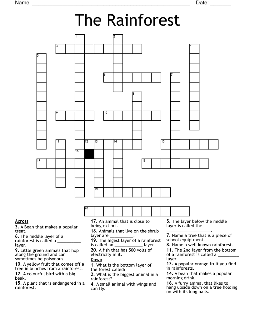 The Rainforest Crossword