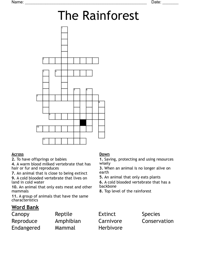 The Rainforest Crossword