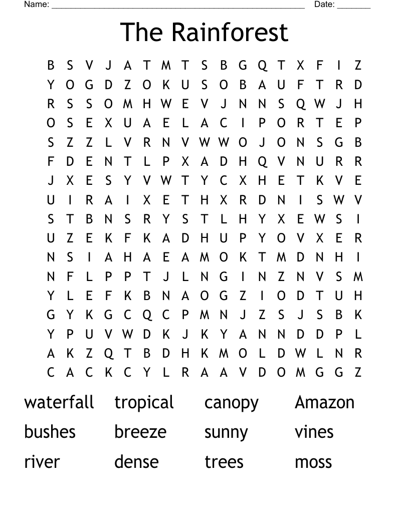 The Rainforest Word Search