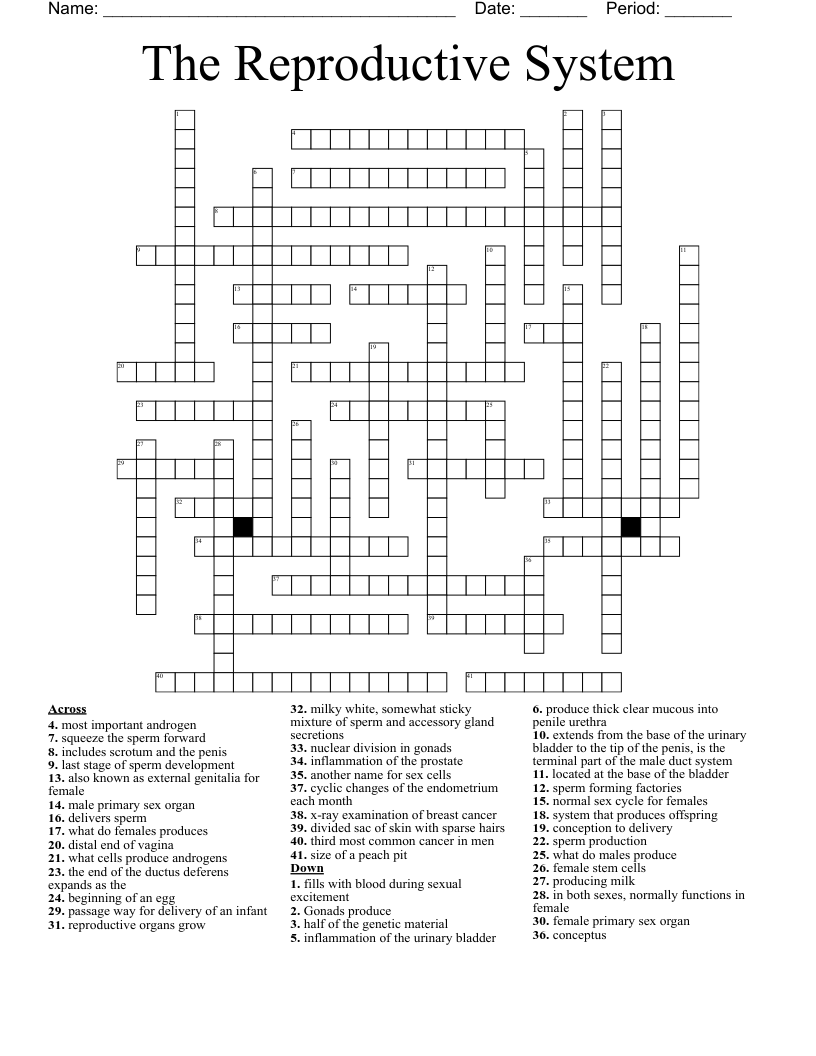 The Reproductive System Crossword
