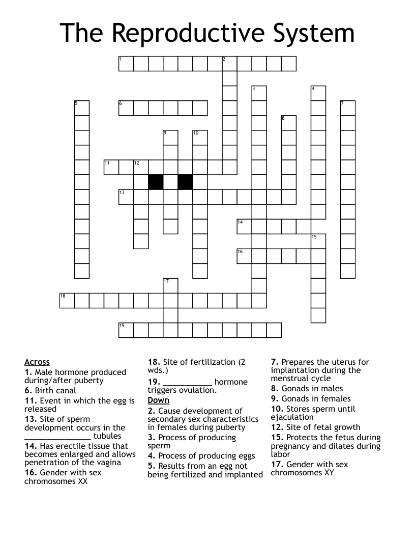 The Reproductive System Crossword