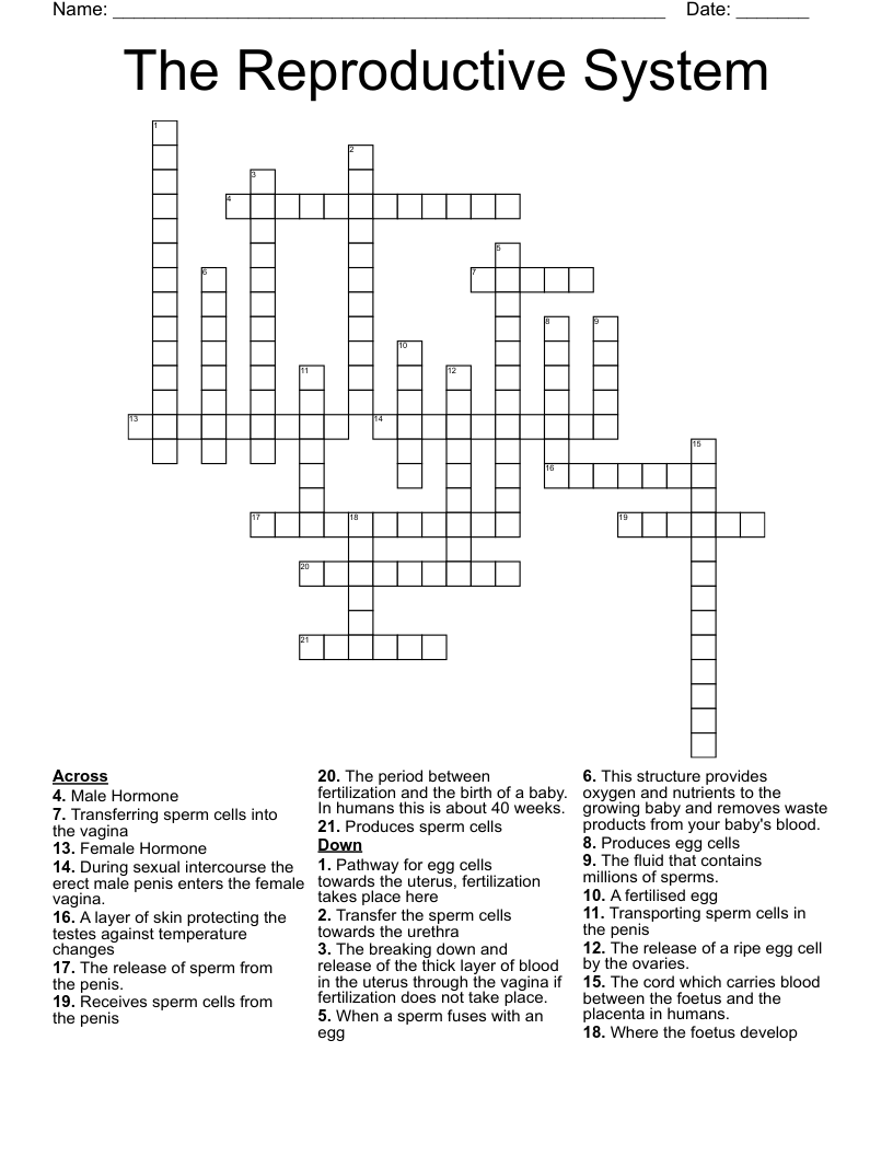 The Reproductive System Crossword