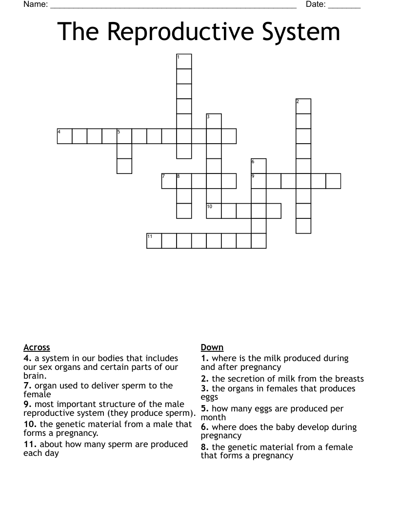 The Reproductive System  Crossword