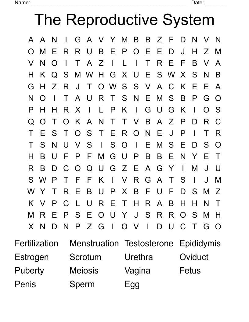The Reproductive System  Word Search