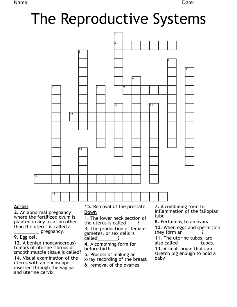 The Reproductive Systems Crossword