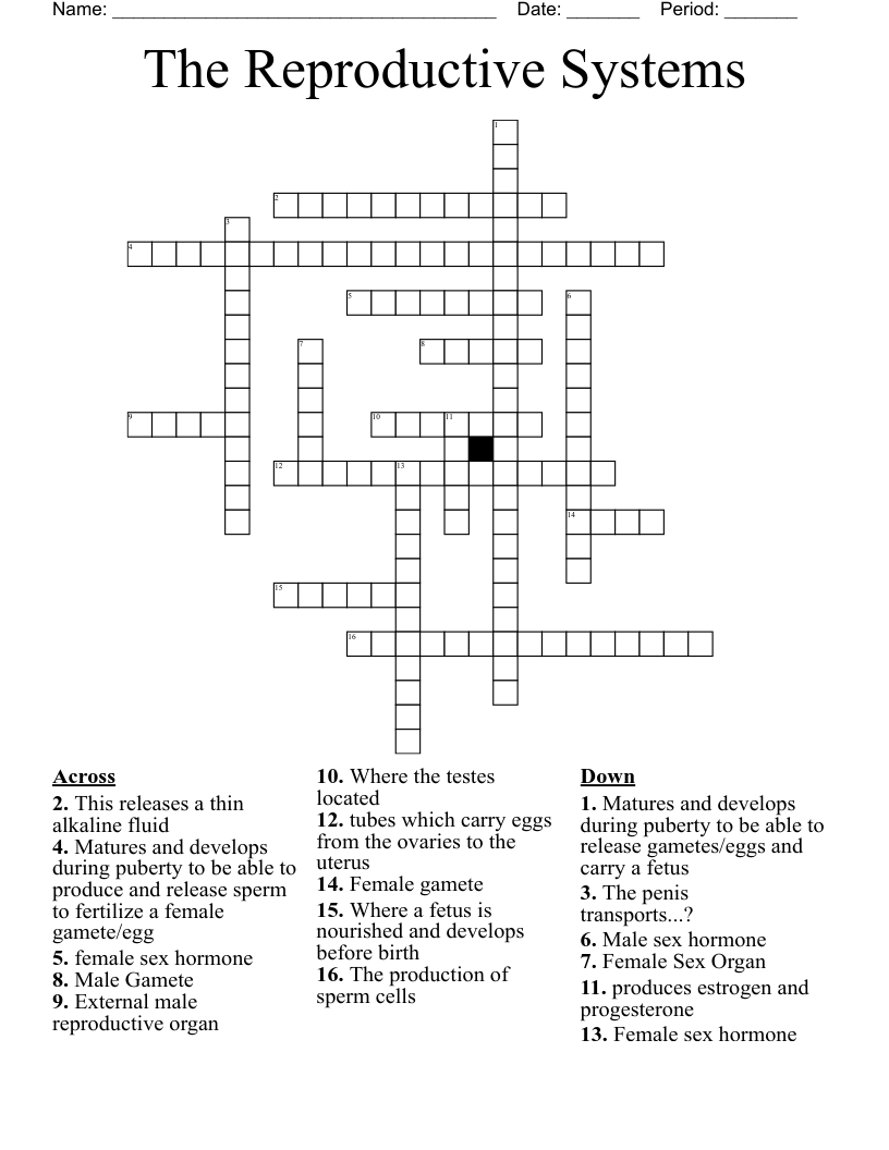 The Reproductive Systems  Crossword
