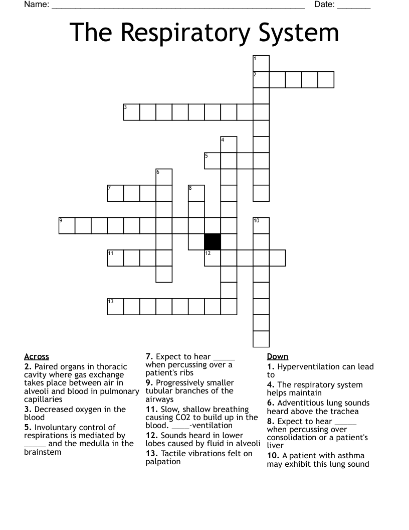 The Respiratory System Crossword