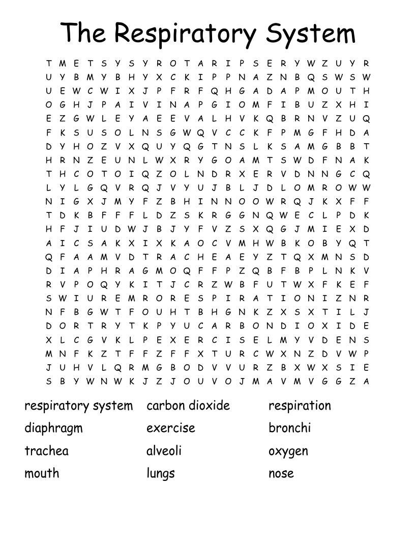 The Respiratory System Word Search