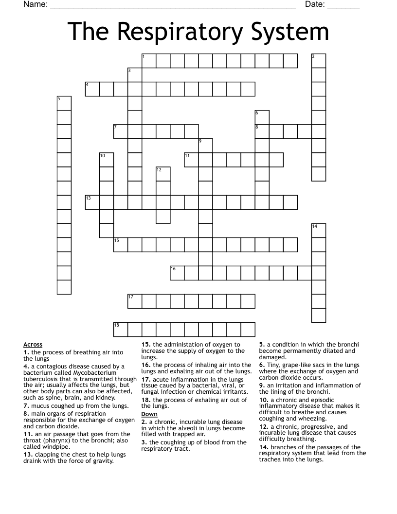 The Respiratory System Crossword