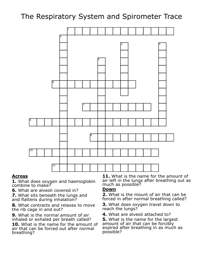 The Respiratory System and Spirometer Trace Crossword
