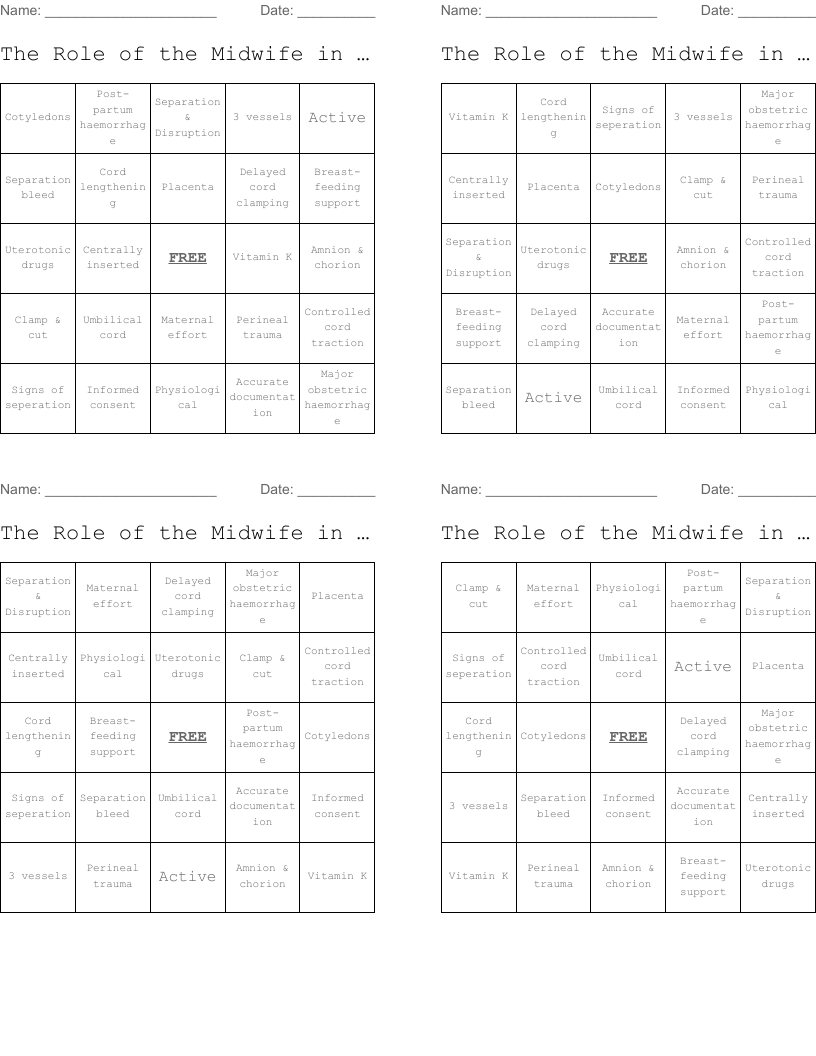 The Role of the Midwife in the 3rd Stage Bingo Cards