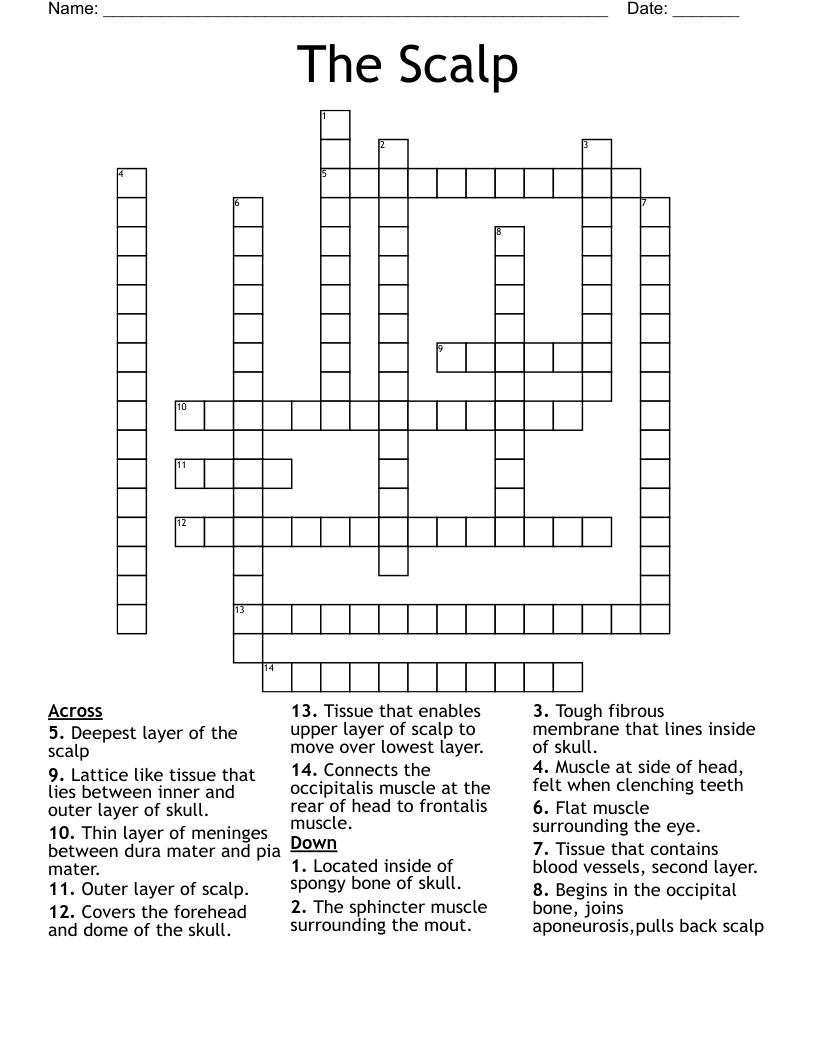 The Scalp Crossword