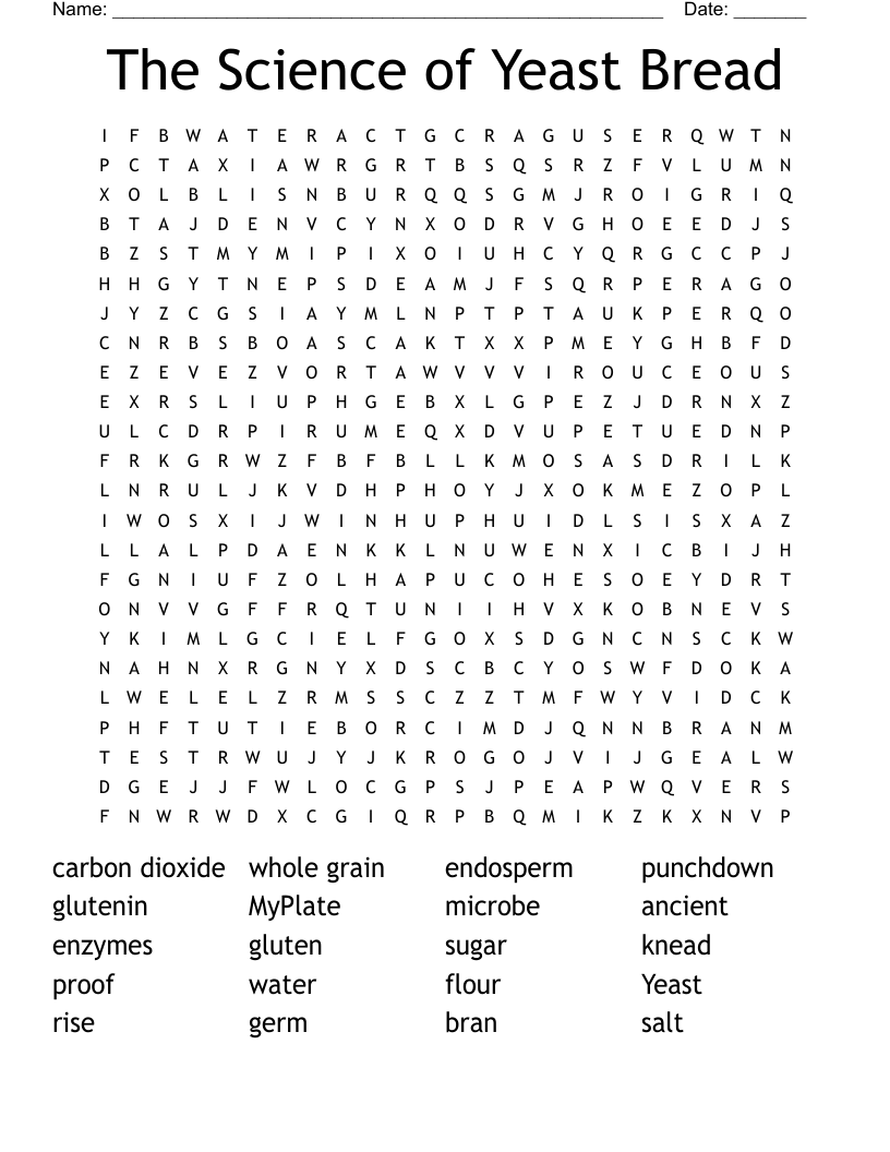 The Science of Yeast Bread Word Search
