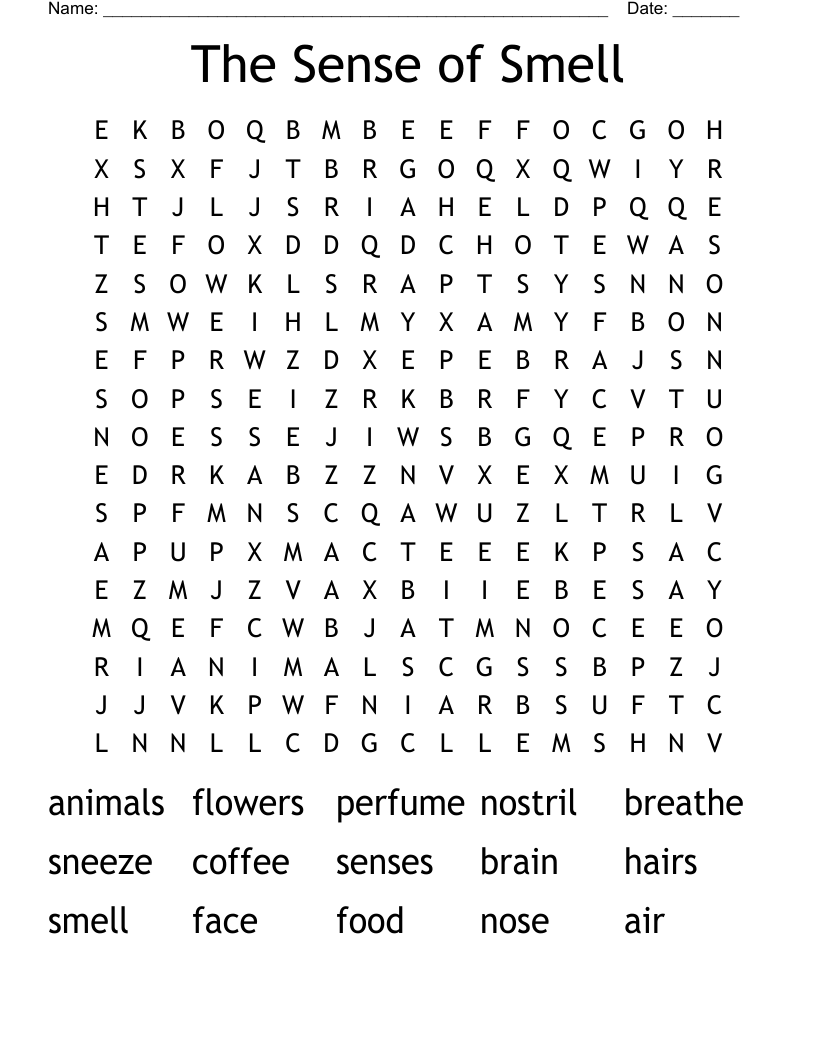 The Sense of Smell Word Search