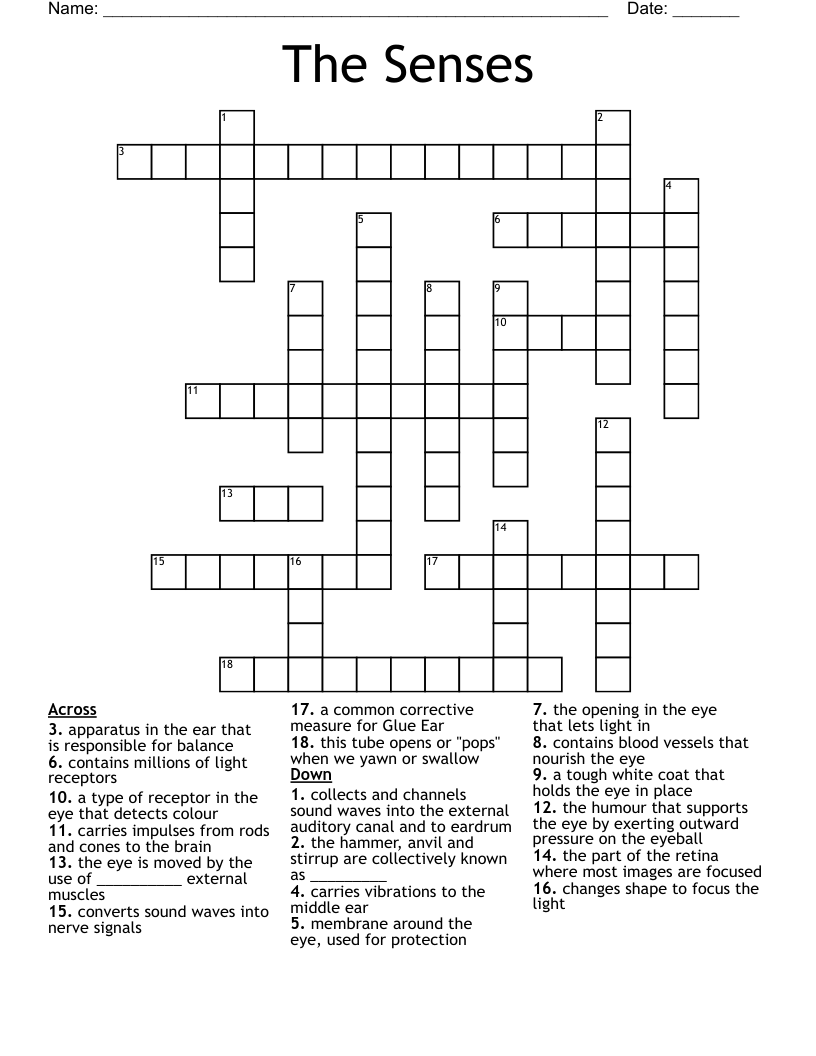 The Senses Crossword