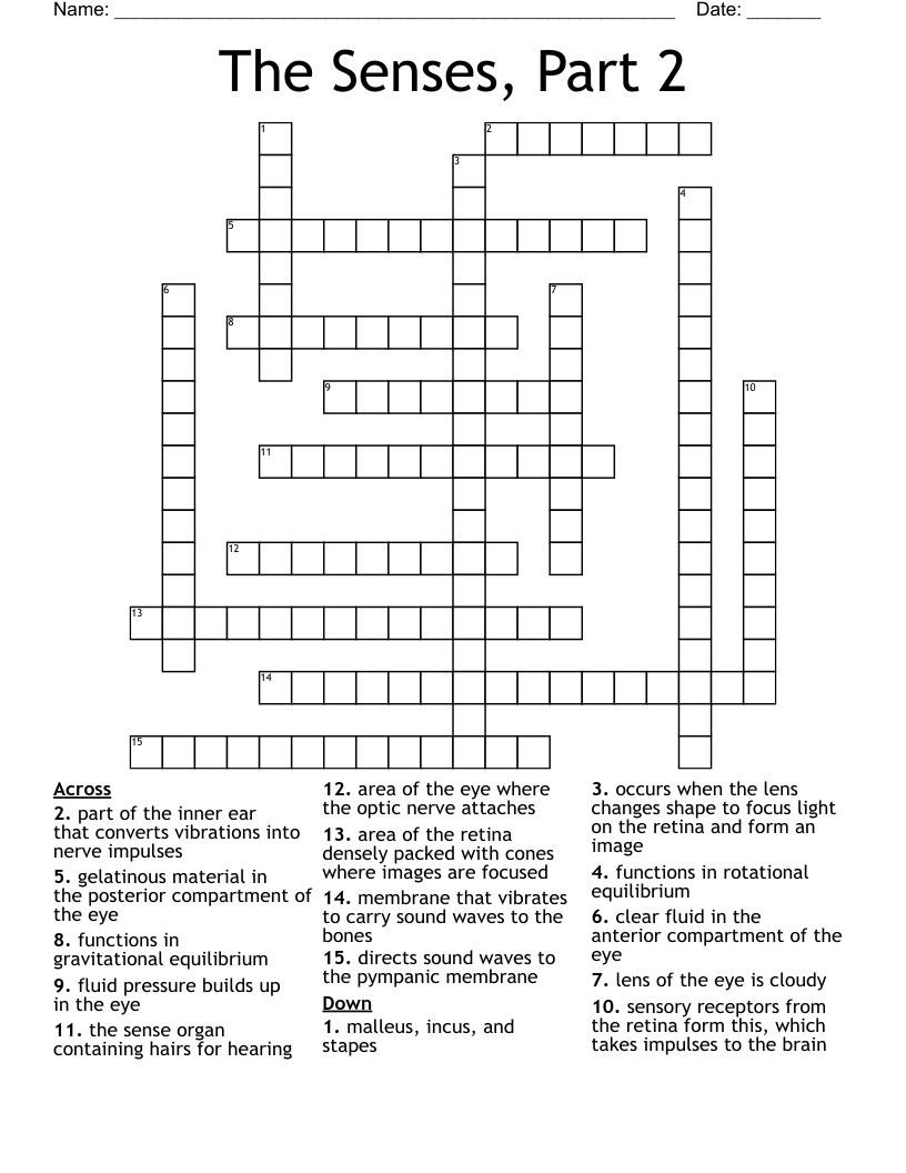 The Senses, Part 2 Crossword