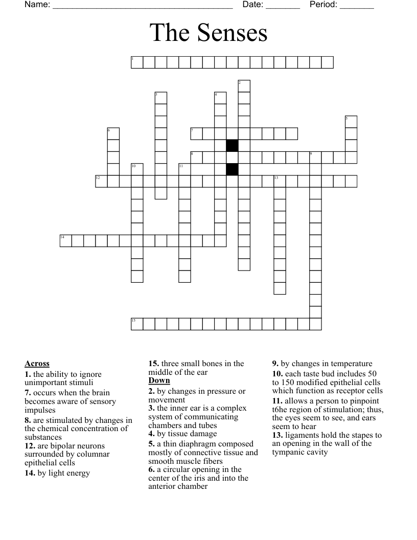 The Senses  Crossword