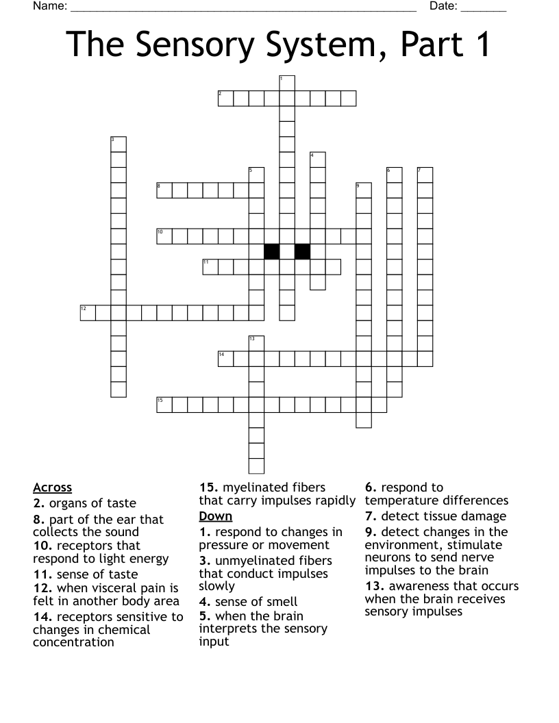 The Sensory System, Part 1 Crossword
