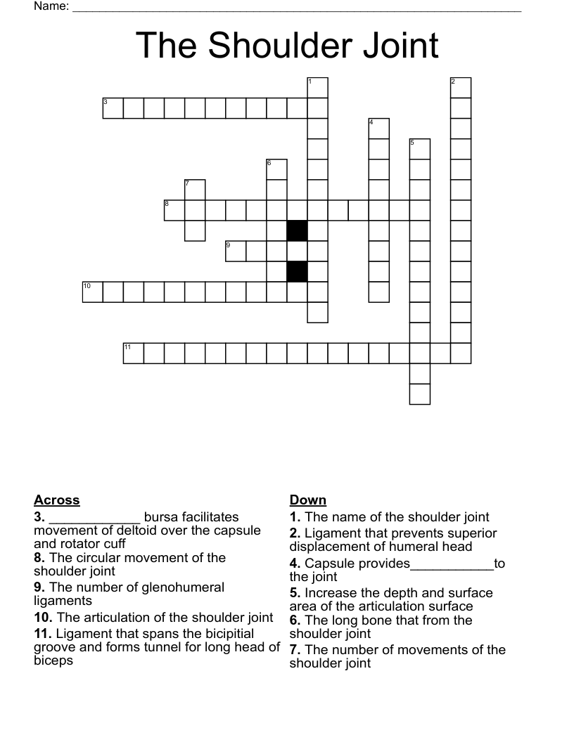 The Shoulder Joint Crossword
