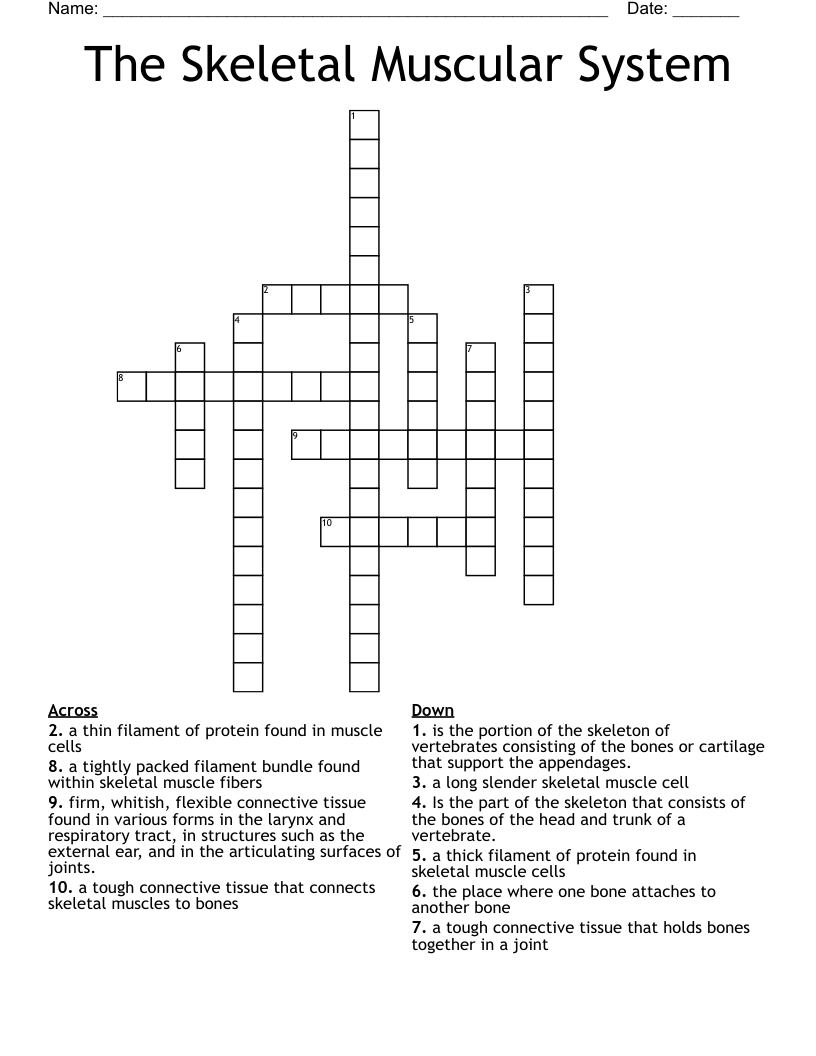 The Skeletal Muscular System Crossword