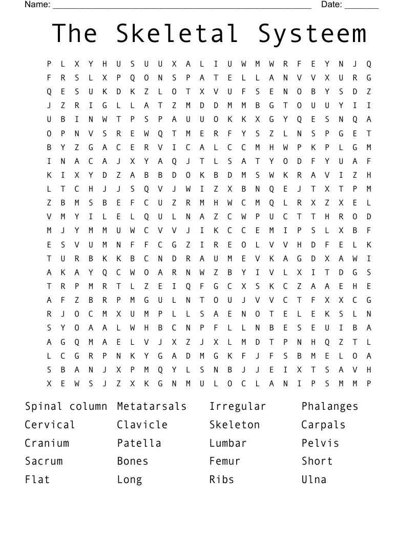 The Skeletal Systeem  Word Search