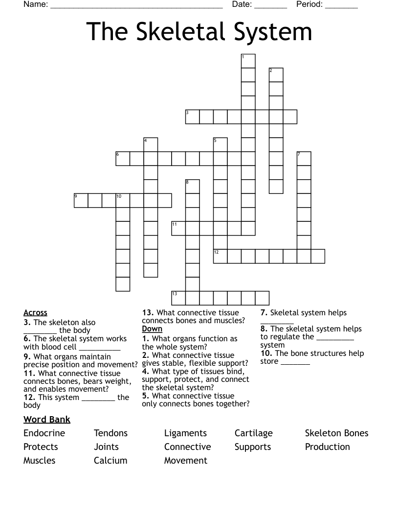 The Skeletal System Crossword