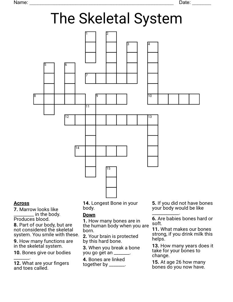 The Skeletal System Crossword
