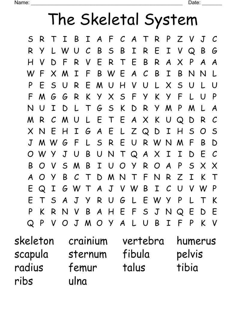 The Skeletal System Word Search