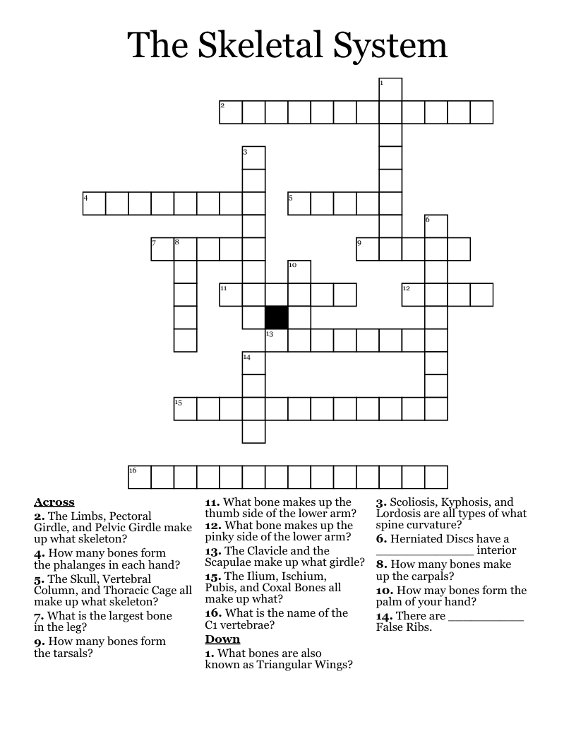 The Skeletal System Crossword