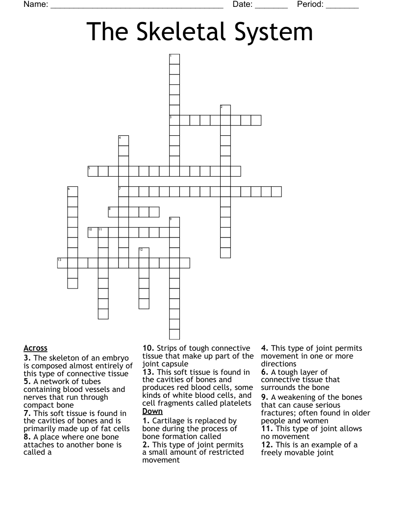 The Skeletal System Crossword