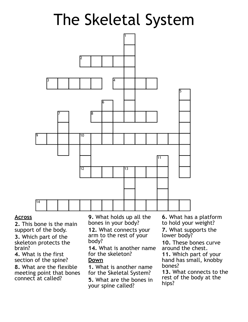 The Skeletal System Crossword