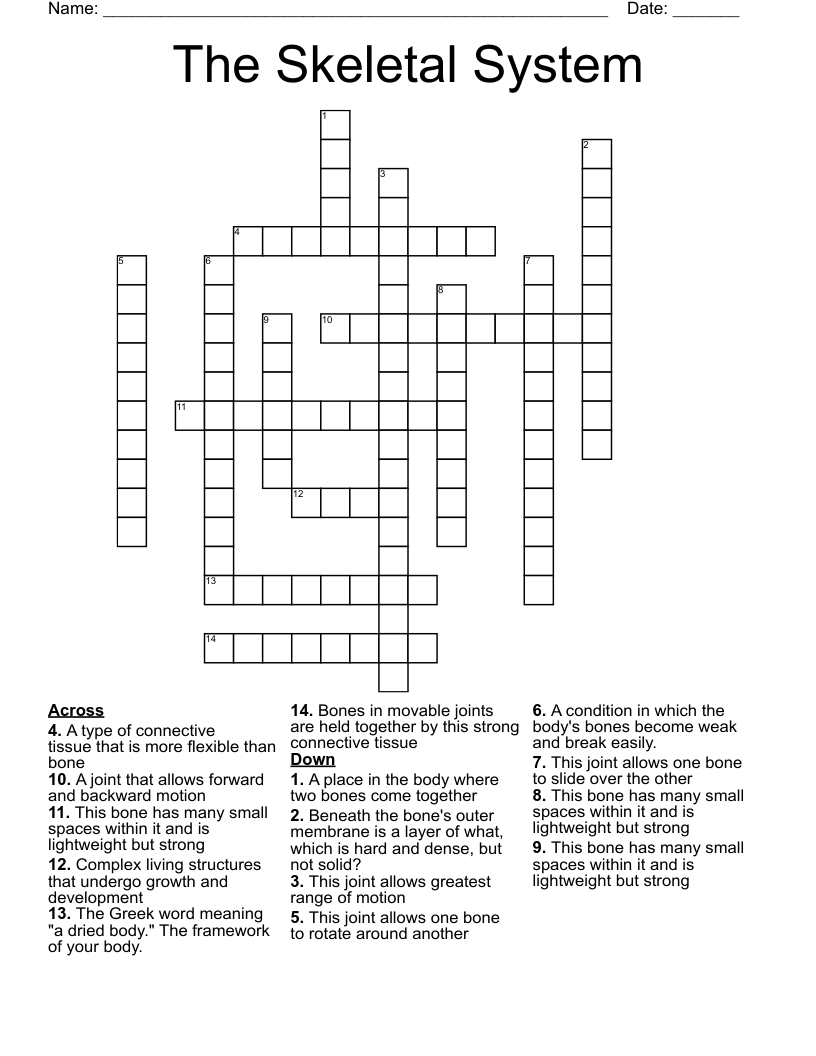 The Skeletal System Crossword