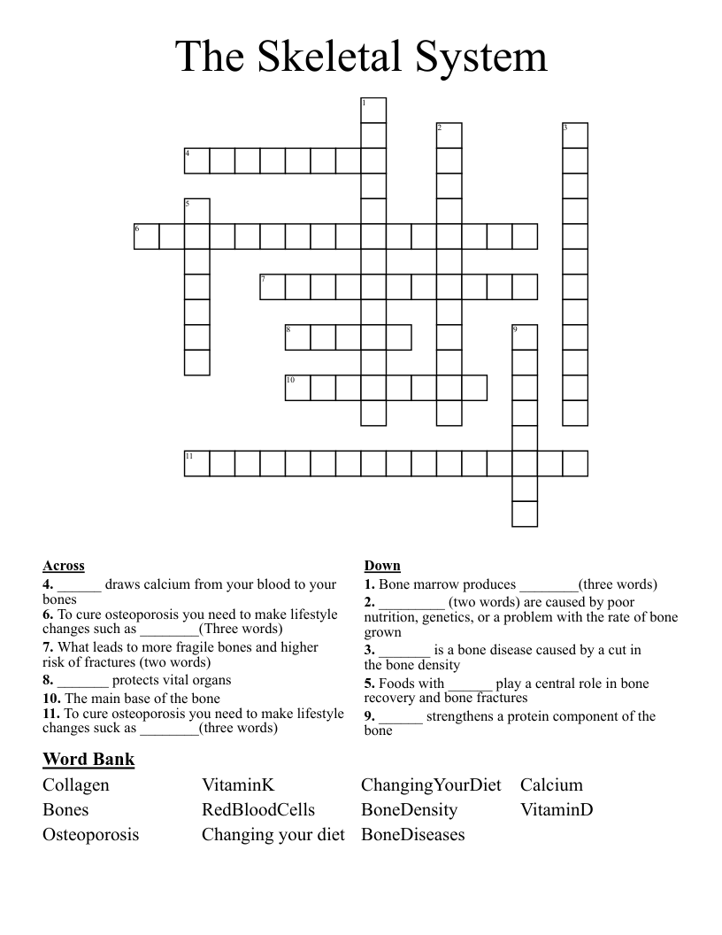 The Skeletal System Crossword