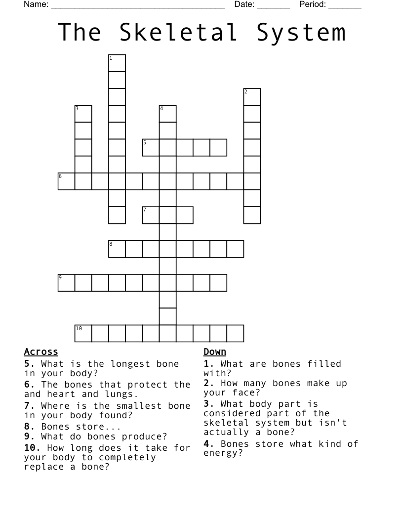 The Skeletal System Crossword