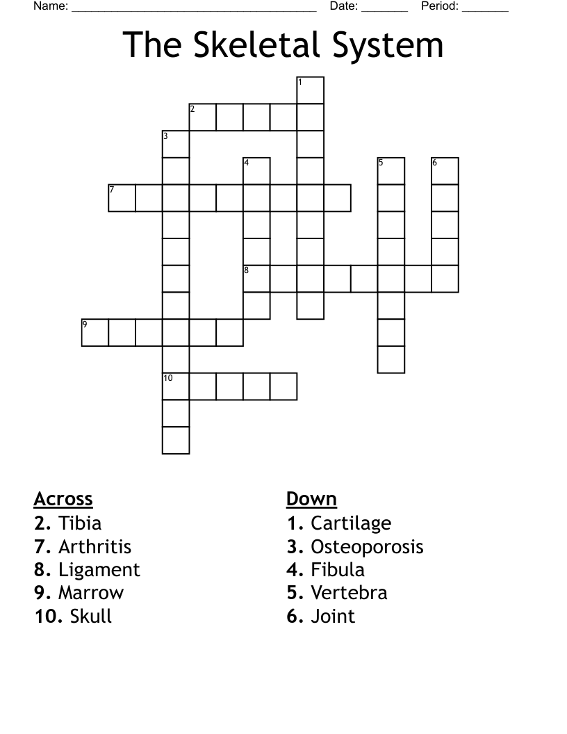 The Skeletal System  Crossword