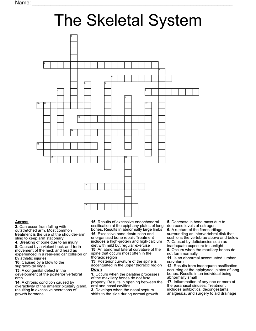 The Skeletal System  Crossword