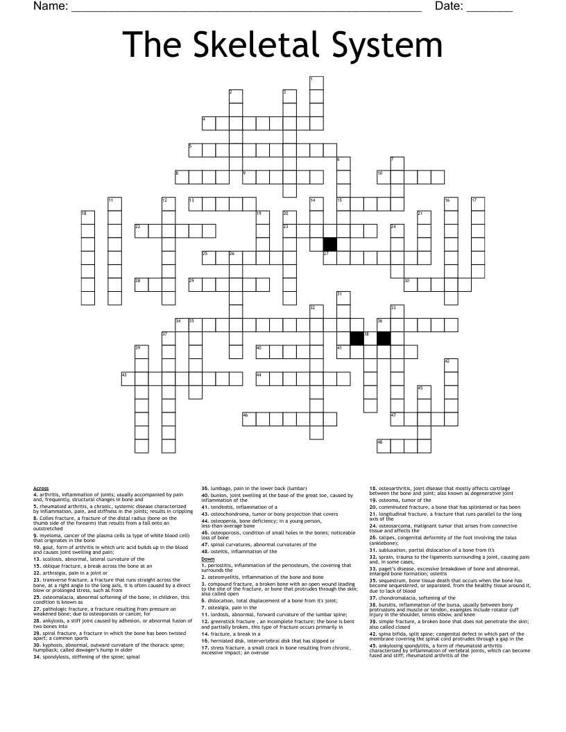 The Skeletal System  Crossword