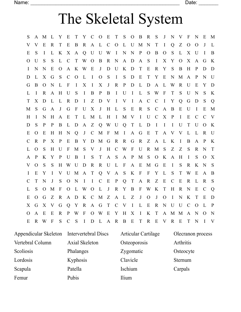 The Skeletal System  Word Search