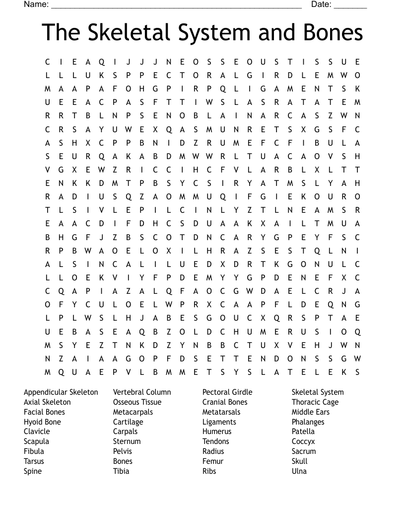 The Skeletal System and Bones Word Search