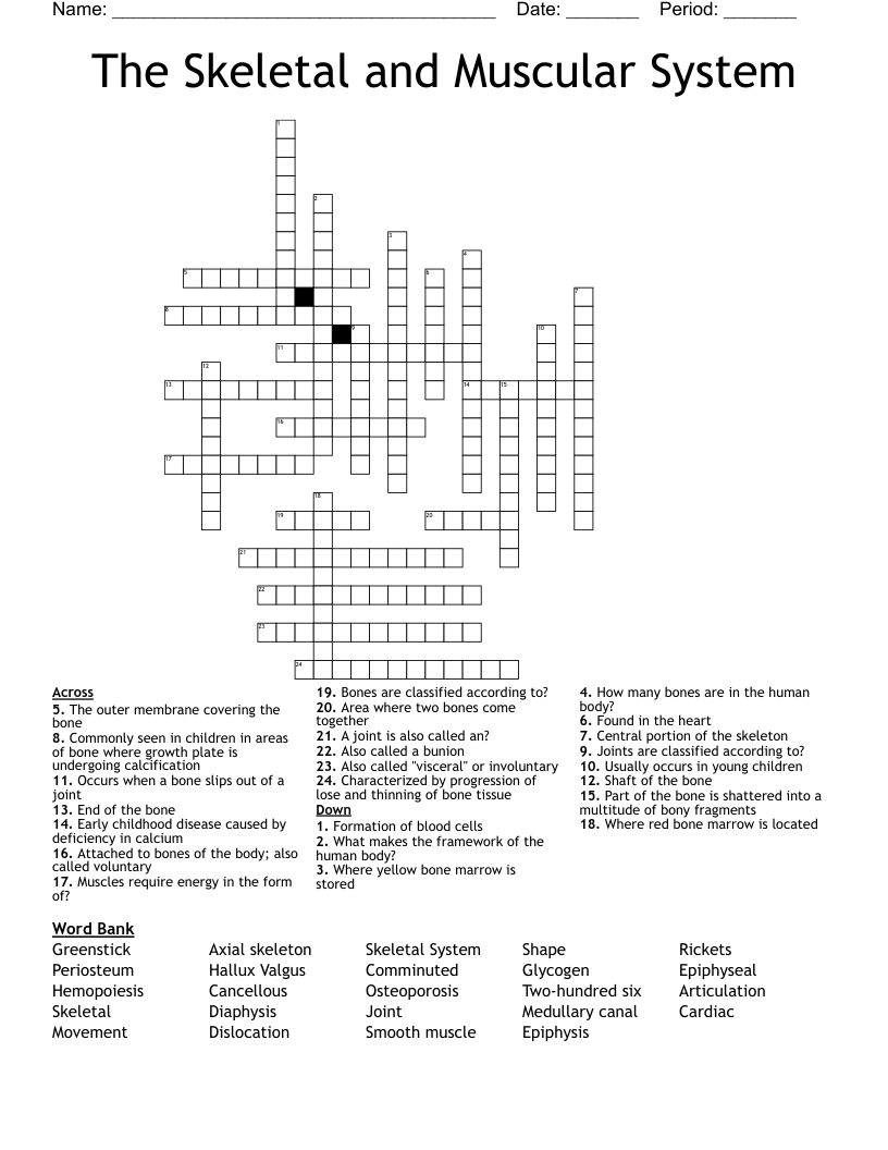 The Skeletal and Muscular System Crossword