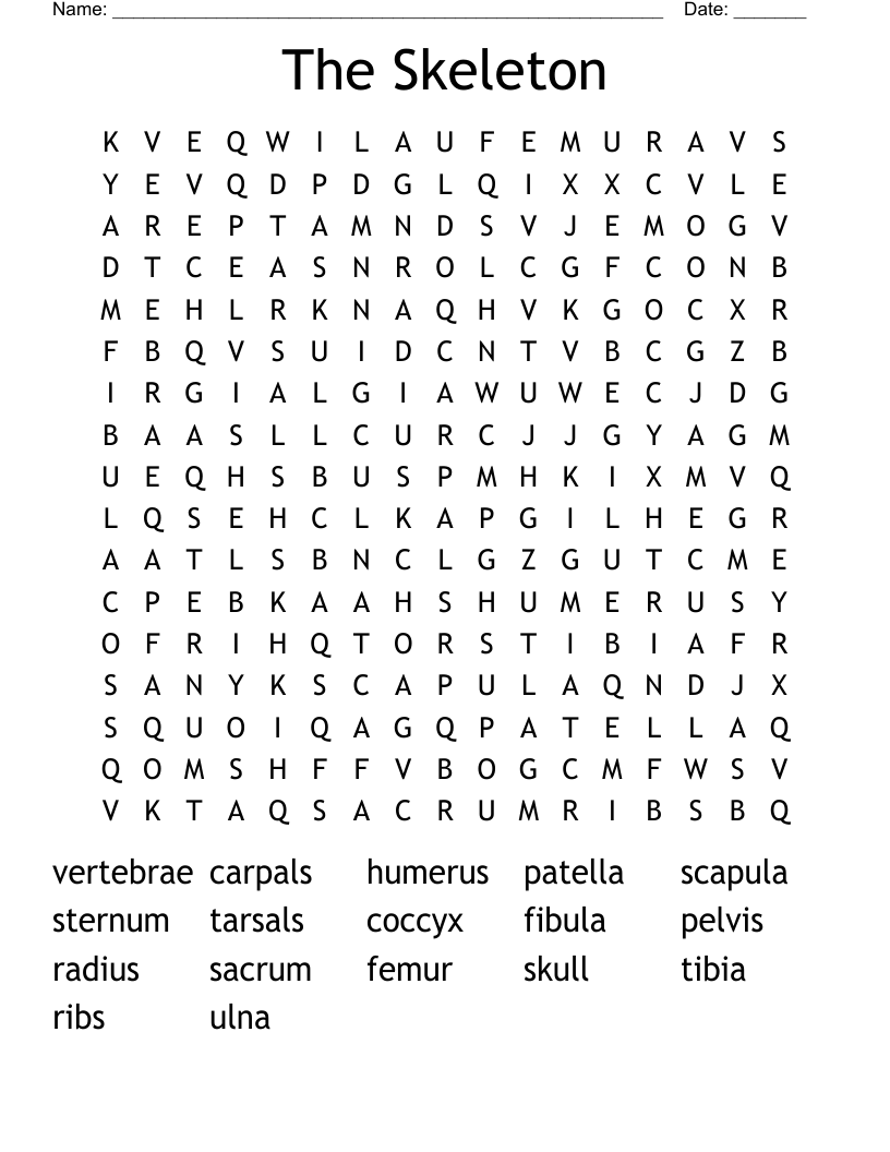 The Skeleton Word Search