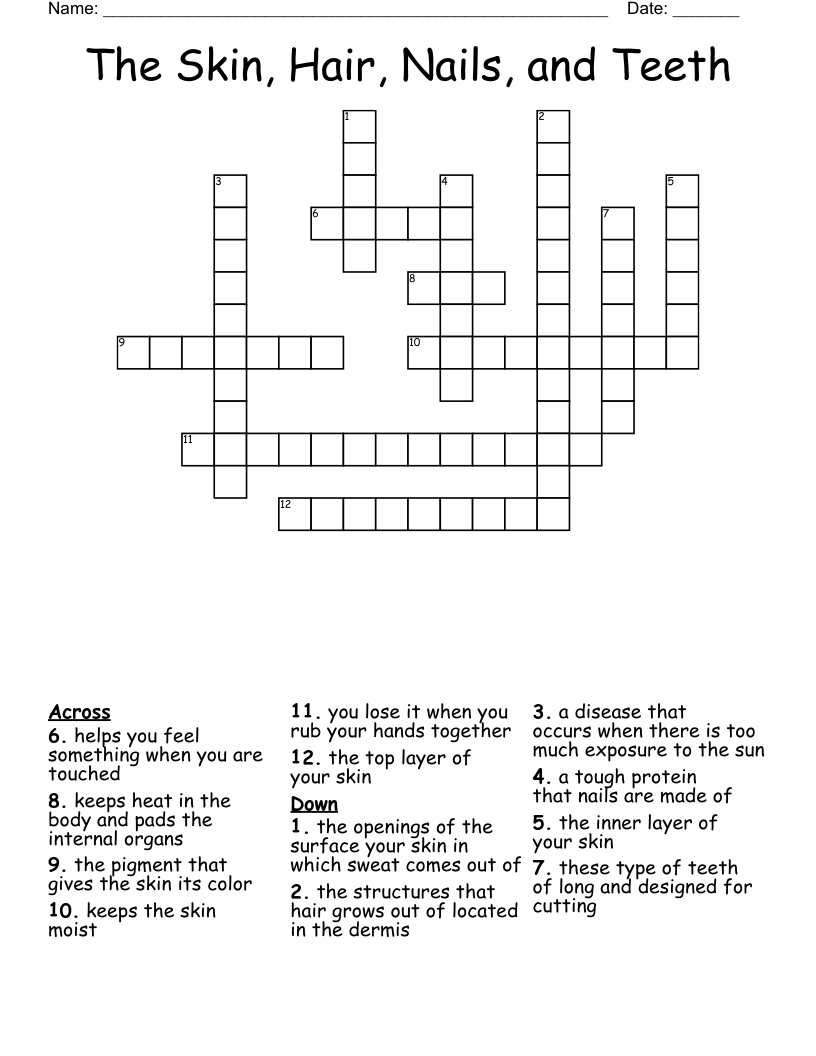 The Skin, Hair, Nails, and Teeth Crossword