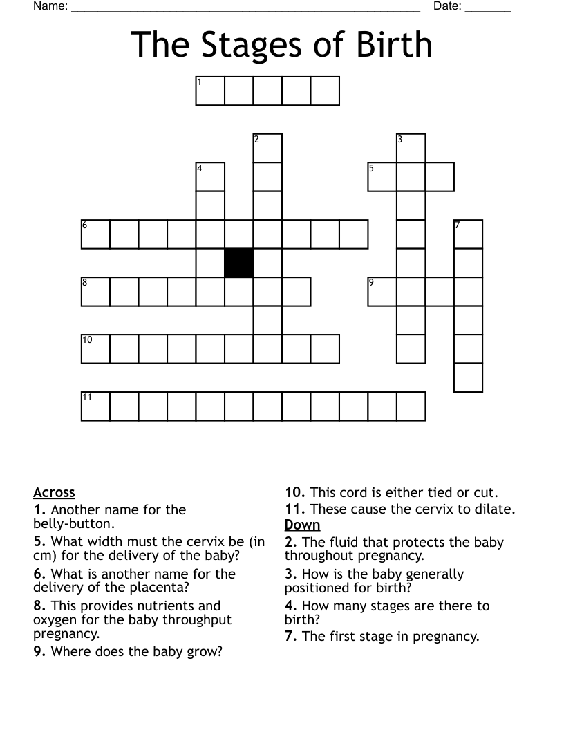 The Stages of Birth Crossword