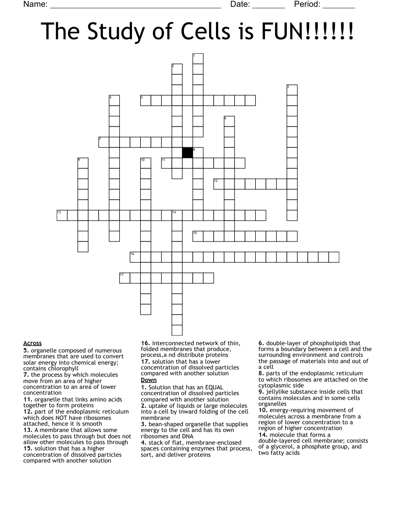 The Study of Cells is FUN!!!!!! Crossword