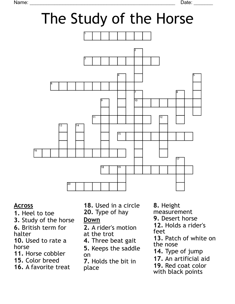 The Study of the Horse Crossword