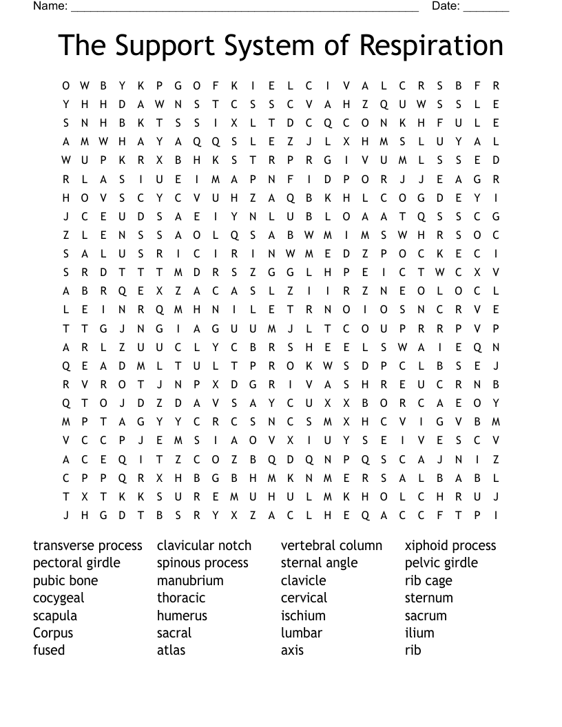 The Support System of Respiration Word Search