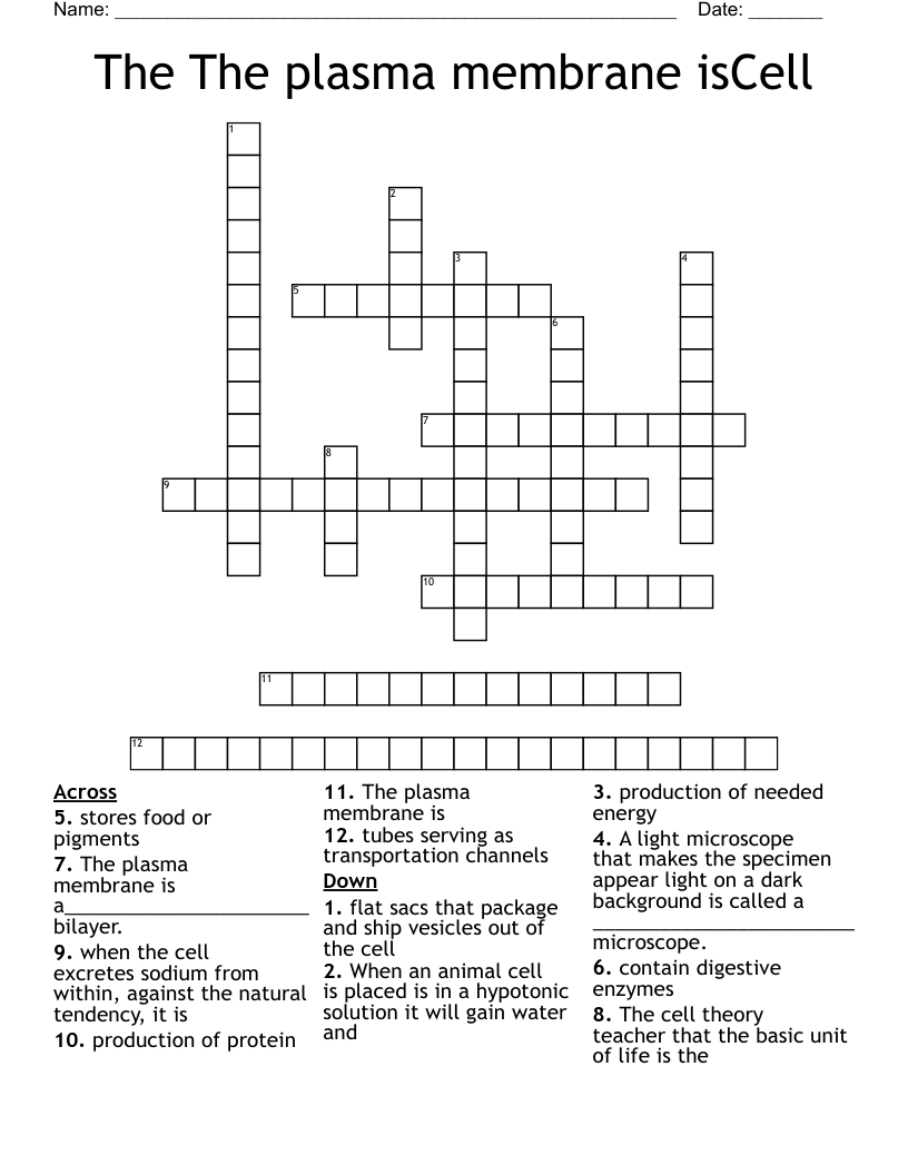 The The plasma membrane isCell Crossword